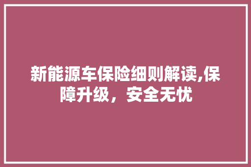 新能源车保险细则解读,保障升级，安全无忧  第1张