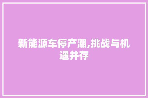 新能源车停产潮,挑战与机遇并存