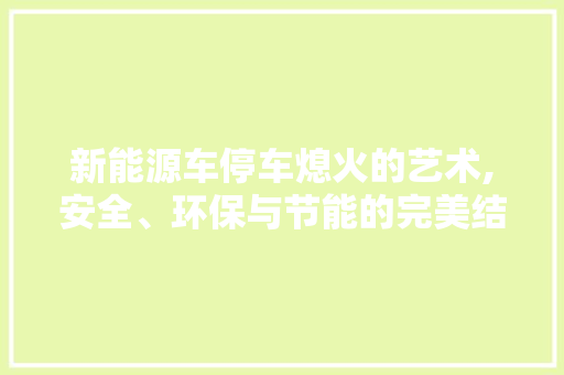 新能源车停车熄火的艺术,安全、环保与节能的完美结合  第1张