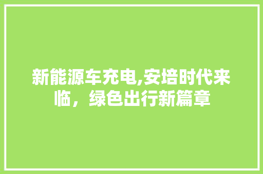 新能源车充电,安培时代来临，绿色出行新篇章  第1张