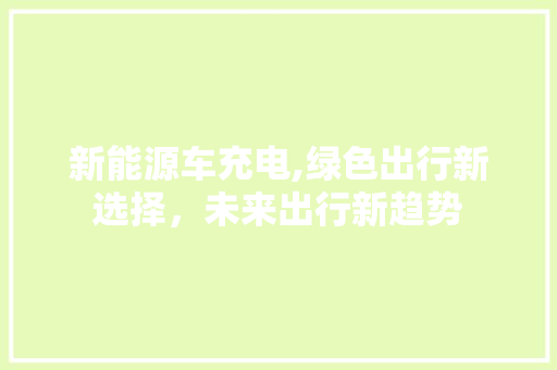 新能源车充电,绿色出行新选择，未来出行新趋势  第1张