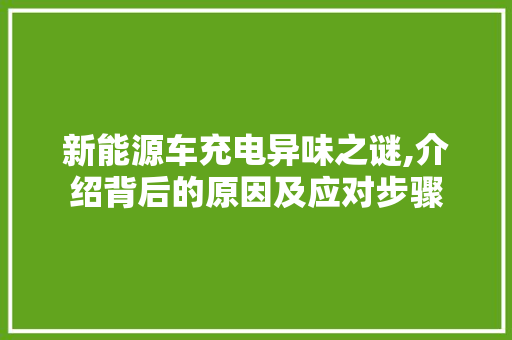 新能源车充电异味之谜,介绍背后的原因及应对步骤  第1张