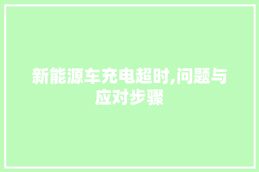新能源车充电超时,问题与应对步骤