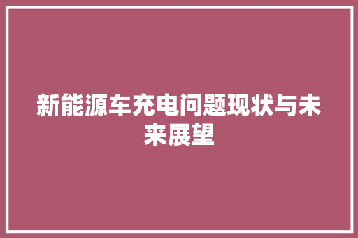 新能源车充电问题现状与未来展望  第1张
