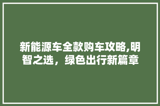 新能源车全款购车攻略,明智之选，绿色出行新篇章  第1张