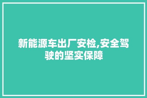 新能源车出厂安检,安全驾驶的坚实保障  第1张