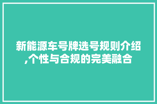 新能源车号牌选号规则介绍,个性与合规的完美融合  第1张