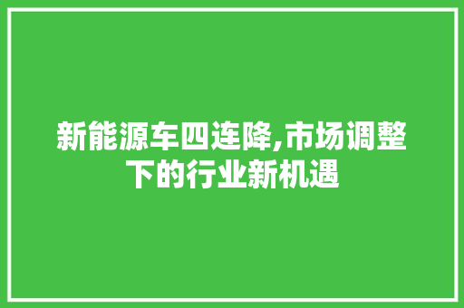 新能源车四连降,市场调整下的行业新机遇  第1张