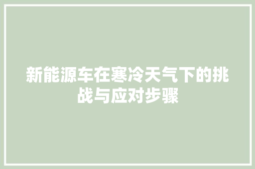 新能源车在寒冷天气下的挑战与应对步骤  第1张