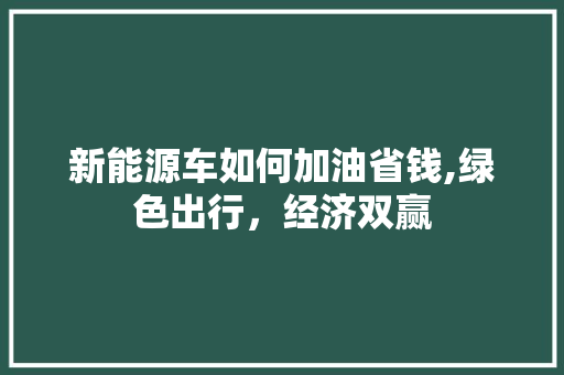 新能源车如何加油省钱,绿色出行，经济双赢  第1张