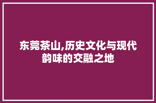 东莞茶山,历史文化与现代韵味的交融之地  第1张