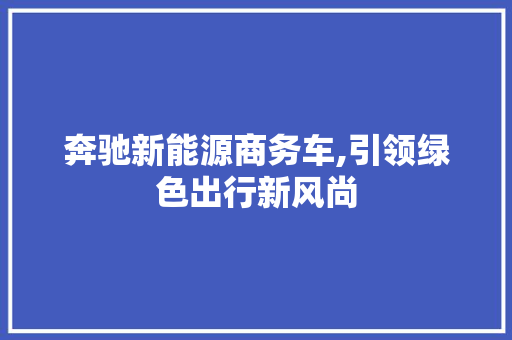 奔驰新能源商务车,引领绿色出行新风尚  第1张