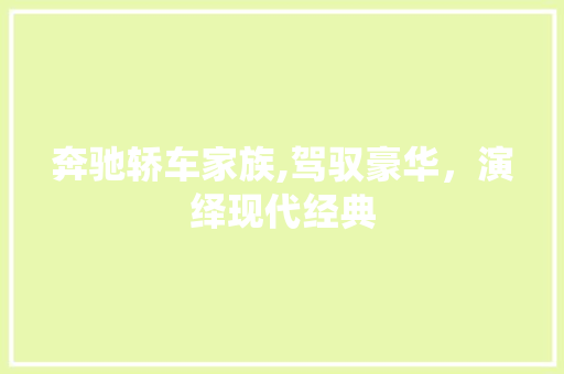 奔驰轿车家族,驾驭豪华，演绎现代经典  第1张