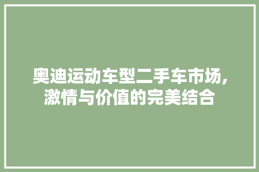 奥迪运动车型二手车市场,激情与价值的完美结合  第1张