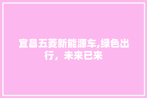 宜昌五菱新能源车,绿色出行，未来已来  第1张