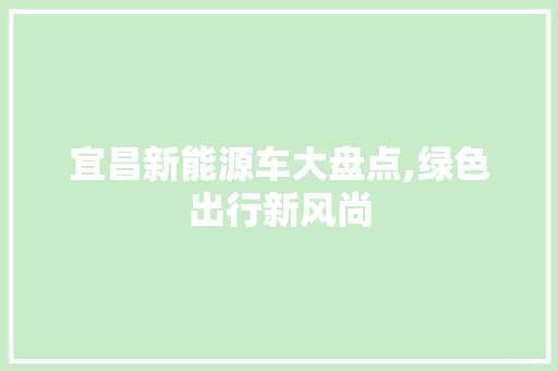 宜昌新能源车大盘点,绿色出行新风尚