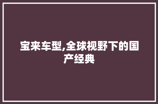 宝来车型,全球视野下的国产经典