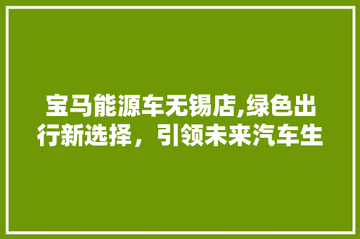 宝马能源车无锡店,绿色出行新选择，引领未来汽车生活