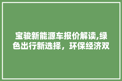 宝骏新能源车报价解读,绿色出行新选择，环保经济双赢  第1张
