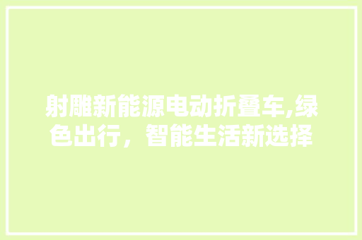 射雕新能源电动折叠车,绿色出行，智能生活新选择  第1张