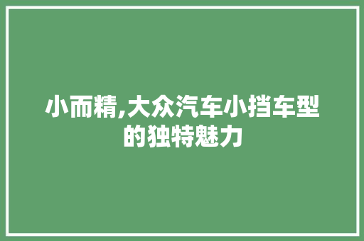 小而精,大众汽车小挡车型的独特魅力  第1张