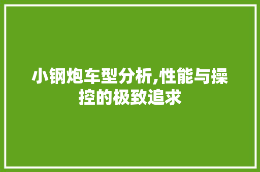小钢炮车型分析,性能与操控的极致追求
