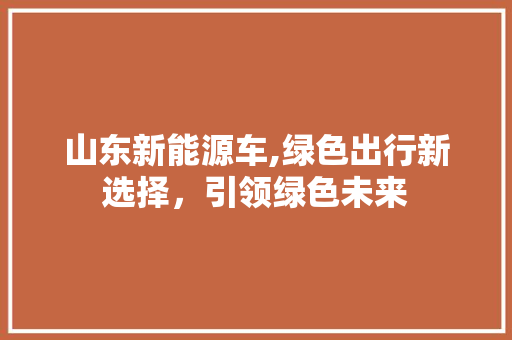 山东新能源车,绿色出行新选择，引领绿色未来  第1张