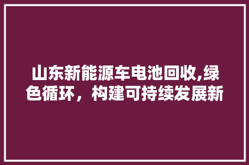 山东新能源车电池回收,绿色循环，构建可持续发展新格局  第1张