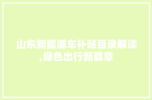 山东新能源车补贴目录解读,绿色出行新篇章  第1张