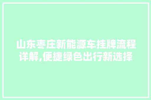 山东枣庄新能源车挂牌流程详解,便捷绿色出行新选择  第1张