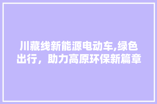 川藏线新能源电动车,绿色出行，助力高原环保新篇章