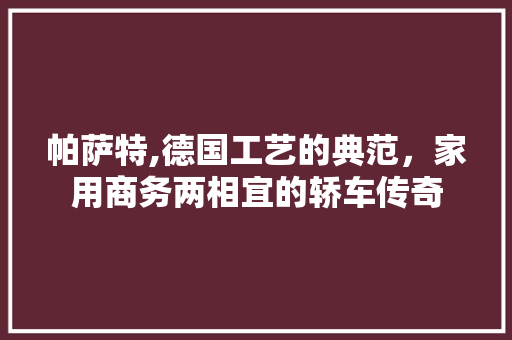帕萨特,德国工艺的典范，家用商务两相宜的轿车传奇