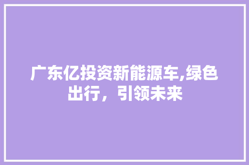 广东亿投资新能源车,绿色出行，引领未来