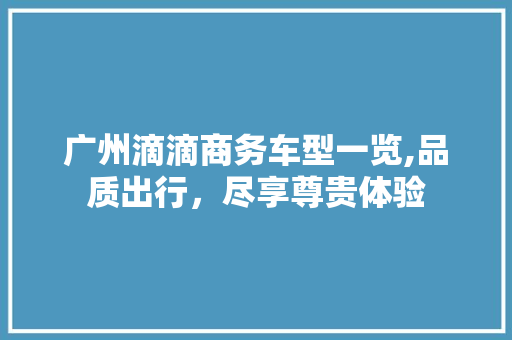 广州滴滴商务车型一览,品质出行，尽享尊贵体验  第1张