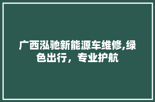 广西泓驰新能源车维修,绿色出行，专业护航  第1张