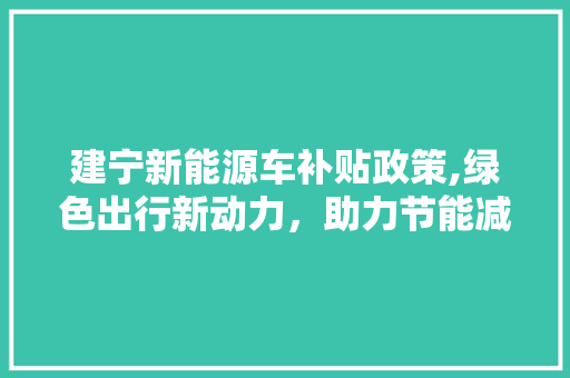 建宁新能源车补贴政策,绿色出行新动力，助力节能减排  第1张