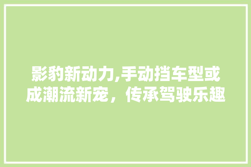 影豹新动力,手动挡车型或成潮流新宠，传承驾驶乐趣  第1张