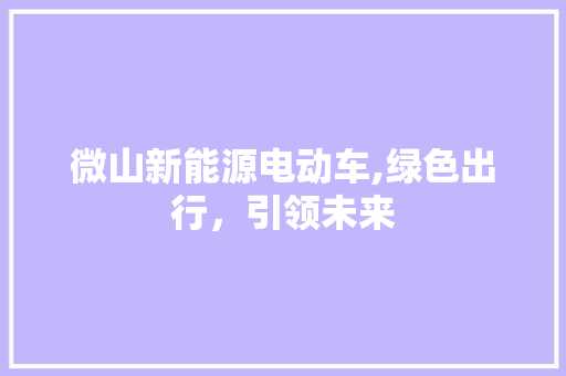 微山新能源电动车,绿色出行，引领未来