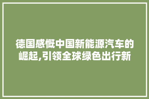 德国感慨中国新能源汽车的崛起,引领全球绿色出行新潮流  第1张