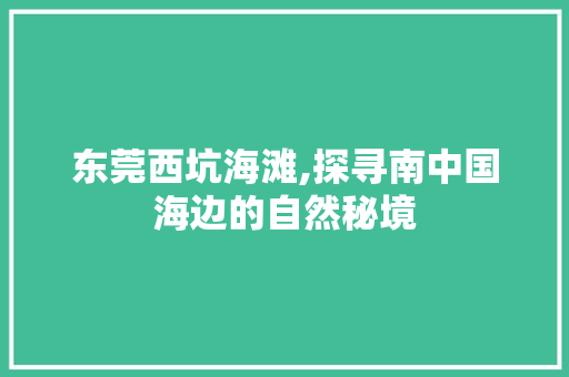 东莞西坑海滩,探寻南中国海边的自然秘境  第1张
