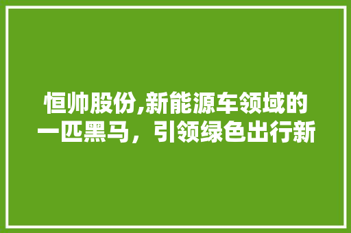 恒帅股份,新能源车领域的一匹黑马，引领绿色出行新时代