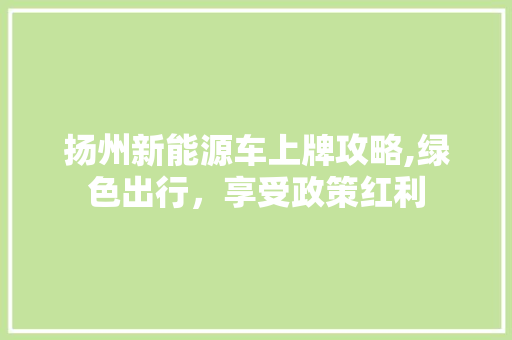 扬州新能源车上牌攻略,绿色出行，享受政策红利