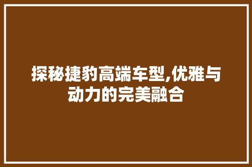 探秘捷豹高端车型,优雅与动力的完美融合  第1张