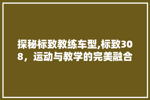 探秘标致教练车型,标致308，运动与教学的完美融合