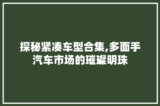 探秘紧凑车型合集,多面手汽车市场的璀璨明珠