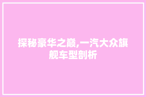探秘豪华之巅,一汽大众旗舰车型剖析