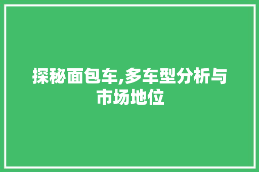 探秘面包车,多车型分析与市场地位  第1张