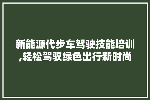 新能源代步车驾驶技能培训,轻松驾驭绿色出行新时尚  第1张