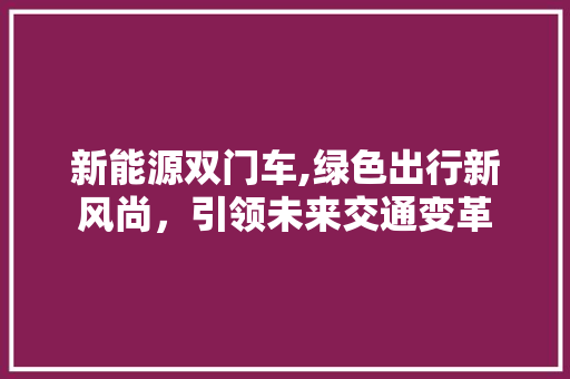 新能源双门车,绿色出行新风尚，引领未来交通变革  第1张