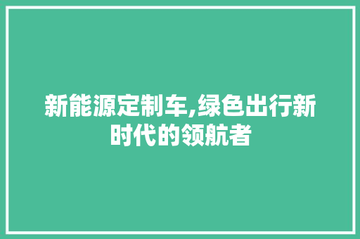 新能源定制车,绿色出行新时代的领航者  第1张